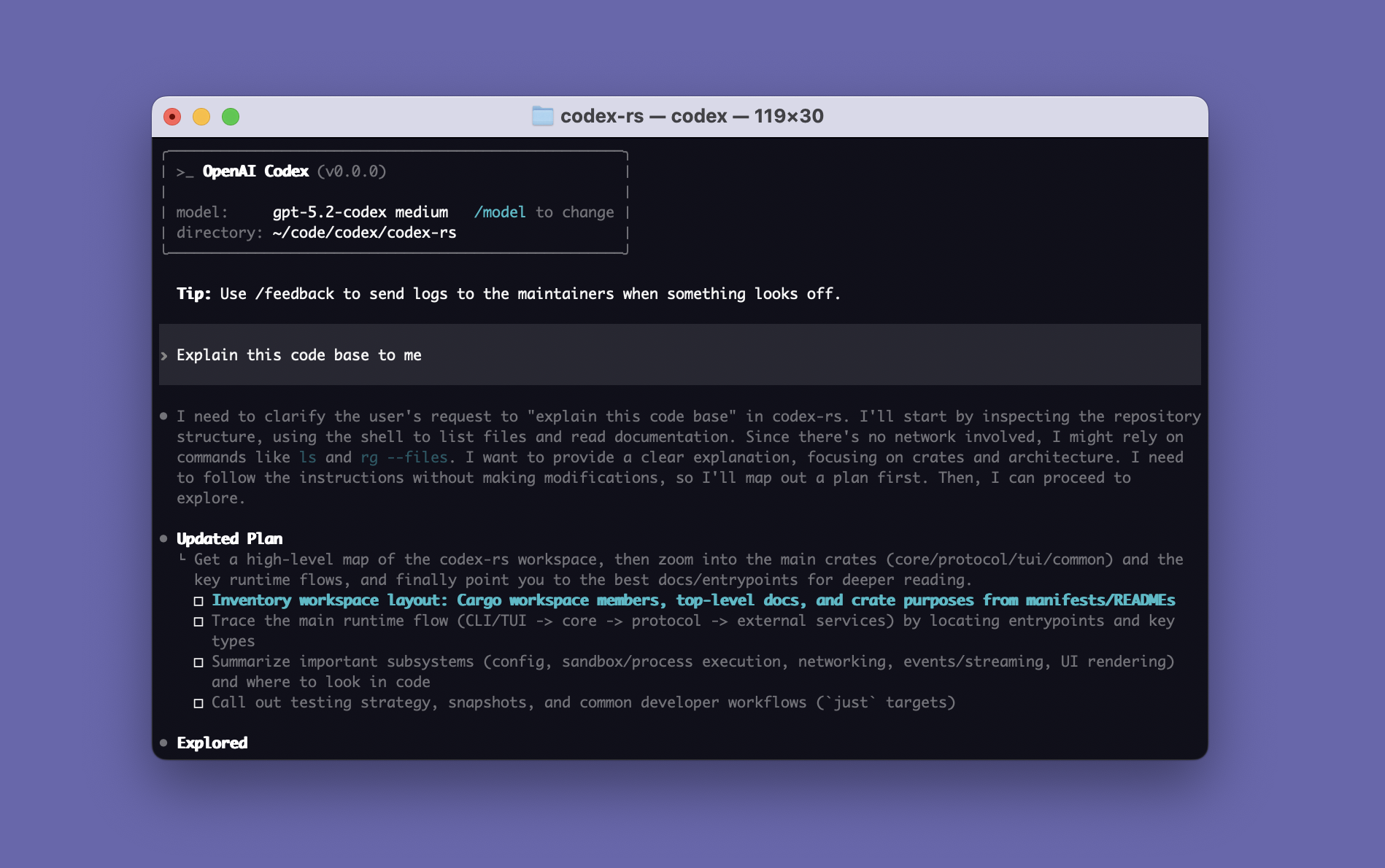 OpenAI Codex terminal showing a repository question, a plan and the start of file exploration.